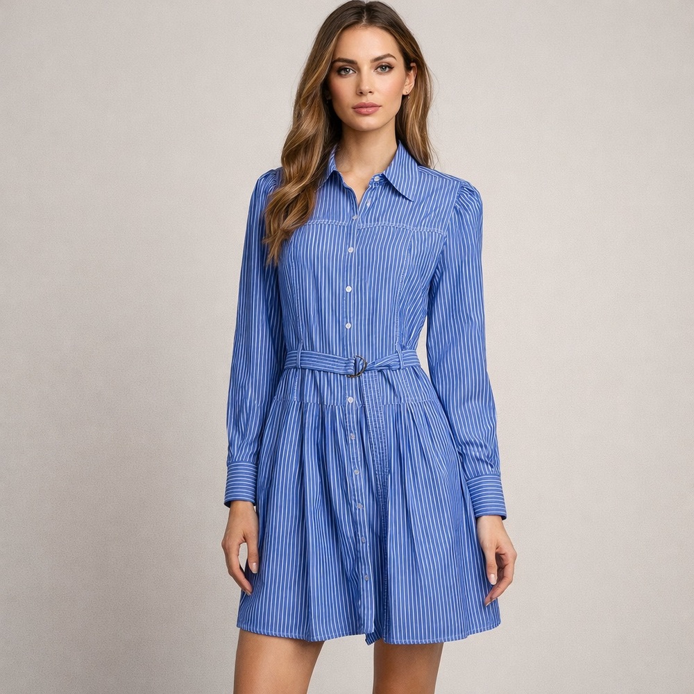 Nanette Lepore Blue Pinstripe‎ Long Sleeve Dress 14